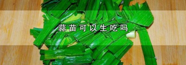 蒜苗可以生吃吗