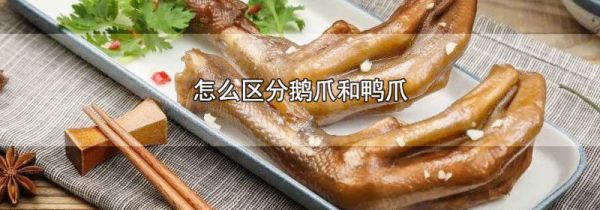 怎么区分鹅爪和鸭爪