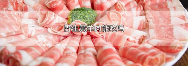 野生黄羊肉能吃吗