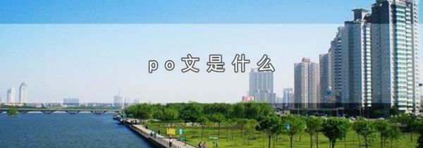 po文是什么