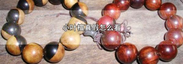 小叶檀真假怎么看