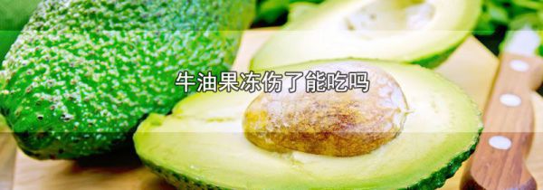 牛油果冻伤了能吃吗