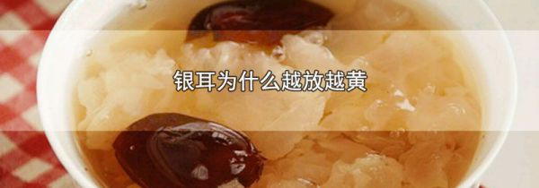 银耳为什么越放越黄