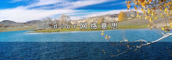 dior网络意思
