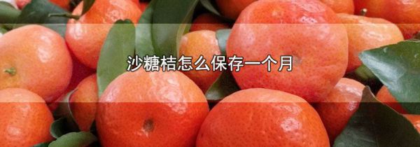 沙糖桔怎么保存一个月