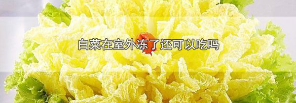 白菜在室外冻了还可以吃吗
