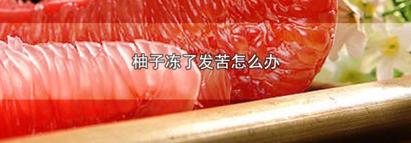 柚子冻了发苦怎么办