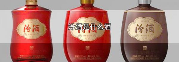 汾酒是什么酒