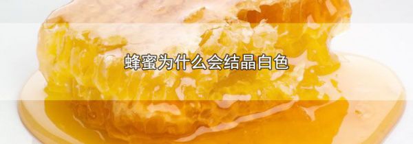 蜂蜜为什么会结晶白色