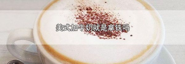 美式加牛奶就是拿铁吗