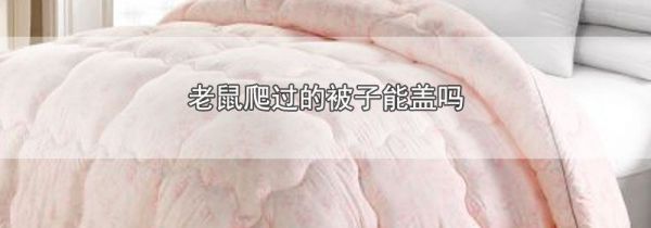 老鼠爬过的被子能盖吗