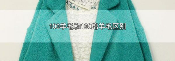100羊毛和100绵羊毛区别