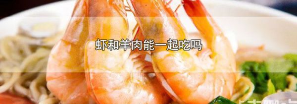 虾和羊肉能一起吃吗
