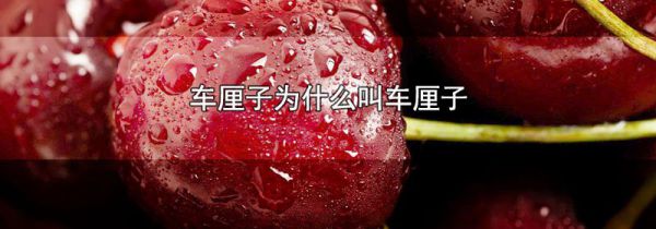 车厘子为什么叫车厘子
