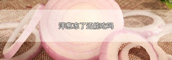 洋葱冻了还能吃吗