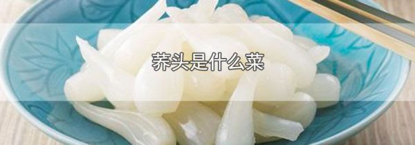 荞头是什么菜