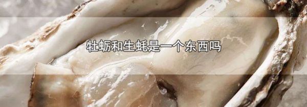 牡蛎和生蚝是一个东西吗