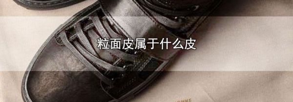 粒面皮属于什么皮
