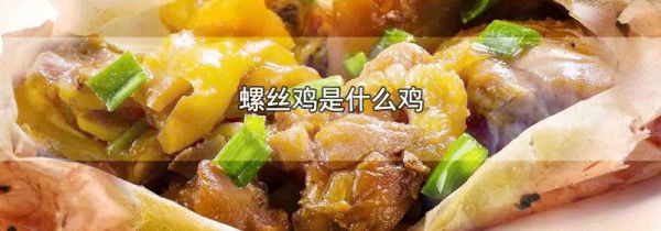 螺丝鸡是什么鸡