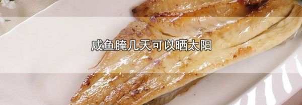 咸鱼腌几天可以晒太阳