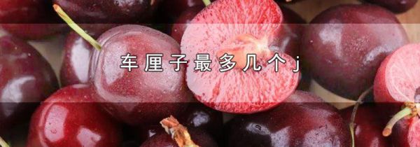 车厘子最多几个j