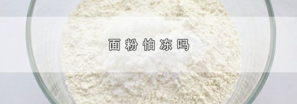 面粉怕冻吗