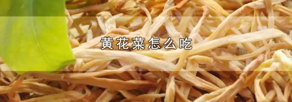 黄花菜怎么吃
