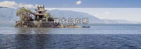 神龙岛在哪