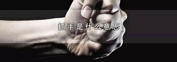 抓手是什么意思