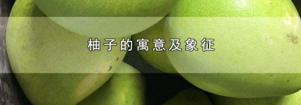 柚子的寓意及象征
