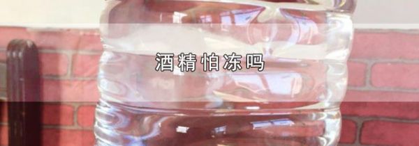 酒精怕冻吗