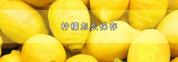 柠檬怎么保存