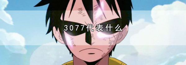 3077代表什么