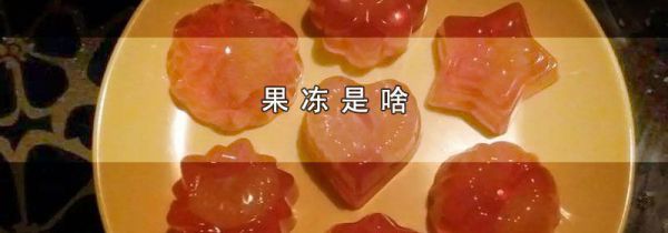 果冻是啥