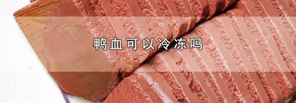 鸭血可以冷冻吗