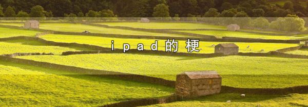 ipad的梗