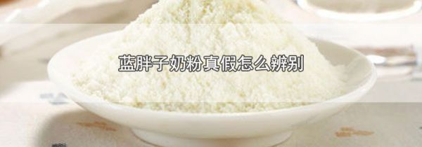 蓝胖子奶粉真假怎么辨别