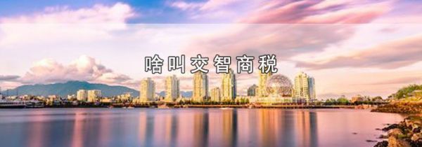啥叫交智商税