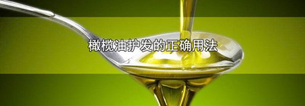 橄榄油护发的正确用法