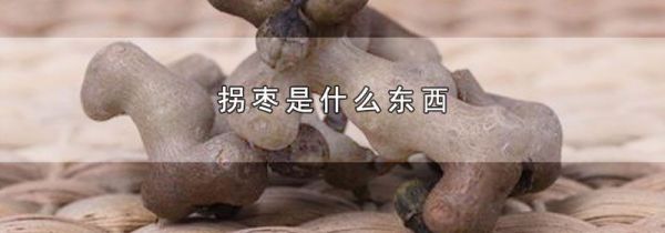 拐枣是什么东西