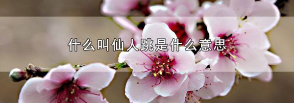什么叫仙人跳是什么意思