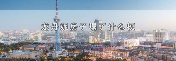 龙丹妮房子塌了什么梗