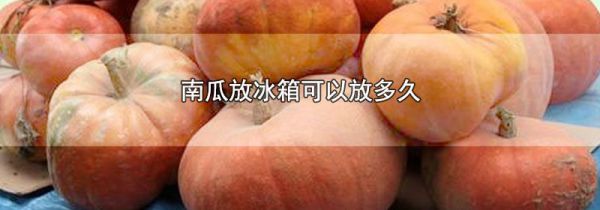 南瓜放冰箱可以放多久