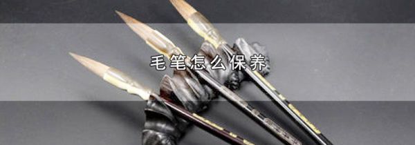毛笔怎么保养