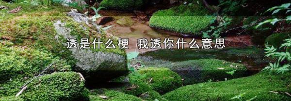 透是什么梗 我透你什么意思