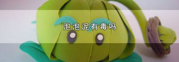 泡泡泥有毒吗