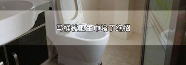 马桶被卫生巾堵了绝招