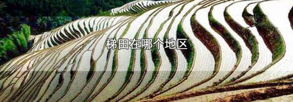 梯田在哪个地区