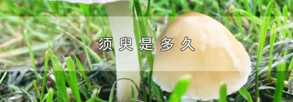 须臾是多久