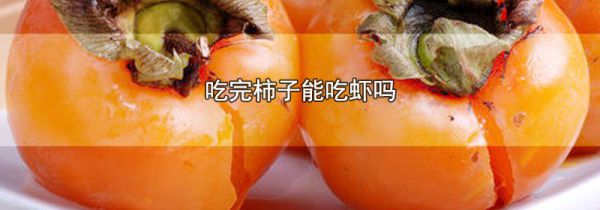 吃完柿子能吃虾吗